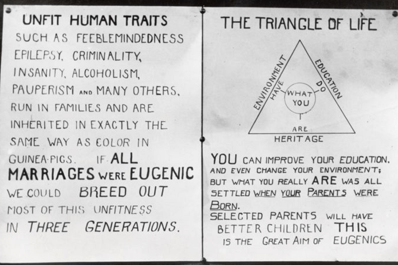 eugenics-promotes-the-elimination-of-undesireable-traits